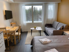 Lost In Levi Apartments in Kittilä
